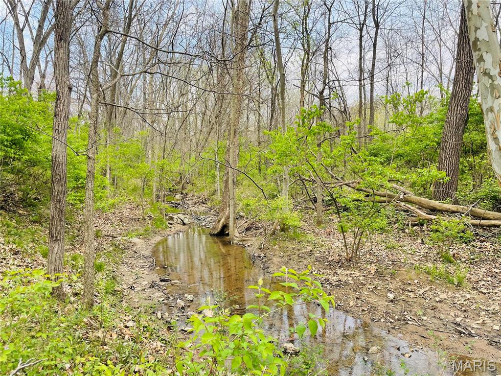 0 Lot Road Winfield, MO 63389 - Photo 12 of 40