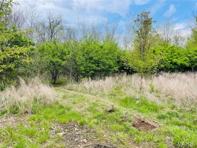 $74,977 | 0 Lot Road, Winfield, MO 63389