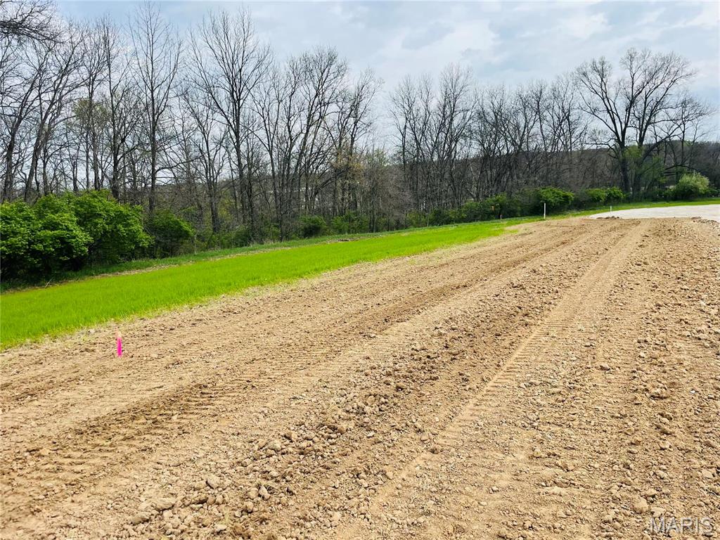 0 Lot Road Winfield, MO 63389 - Photo 7 of 40