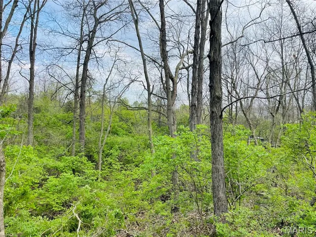$74,977 | 0 Lot Road, Winfield, MO 63389