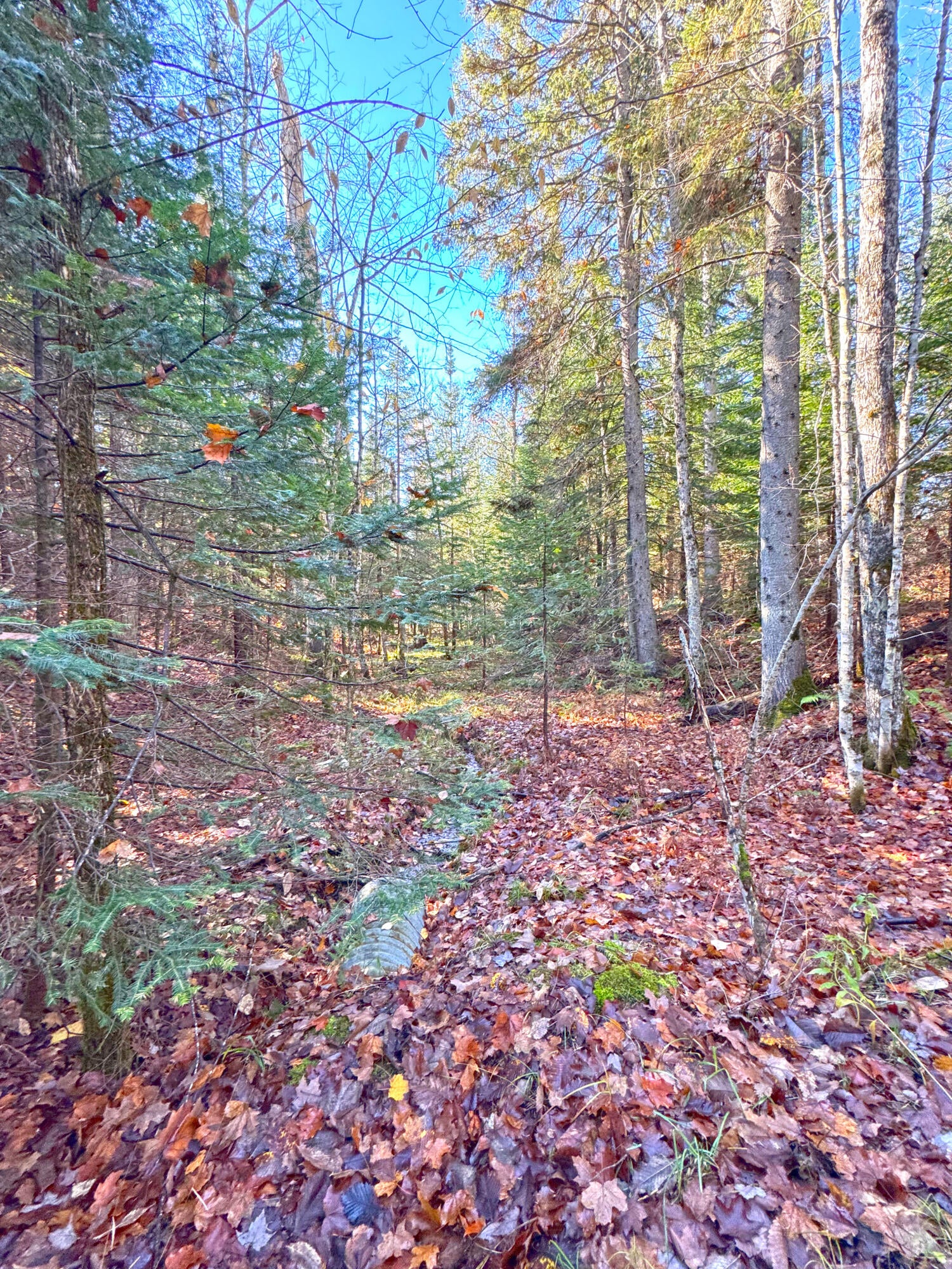 4800 South North Hulbert Road Eckerman, MI 49728 - Photo 12 of 40 Gallery Image 12