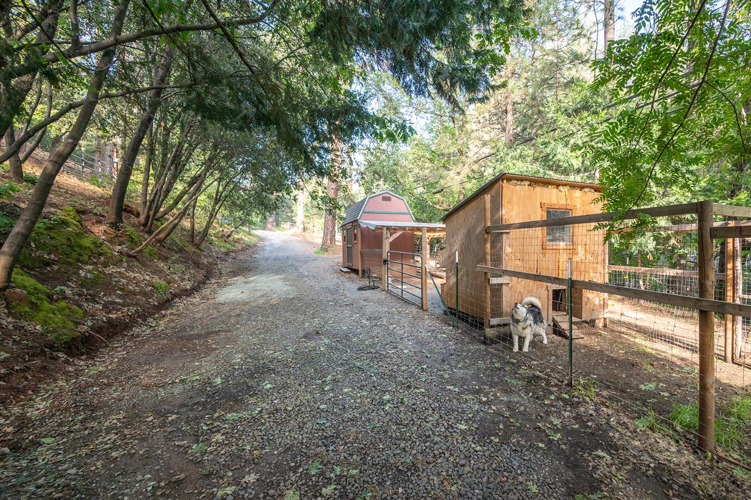 3061 Highway 4 Murphys, CA 95247 - Photo 56 of 83