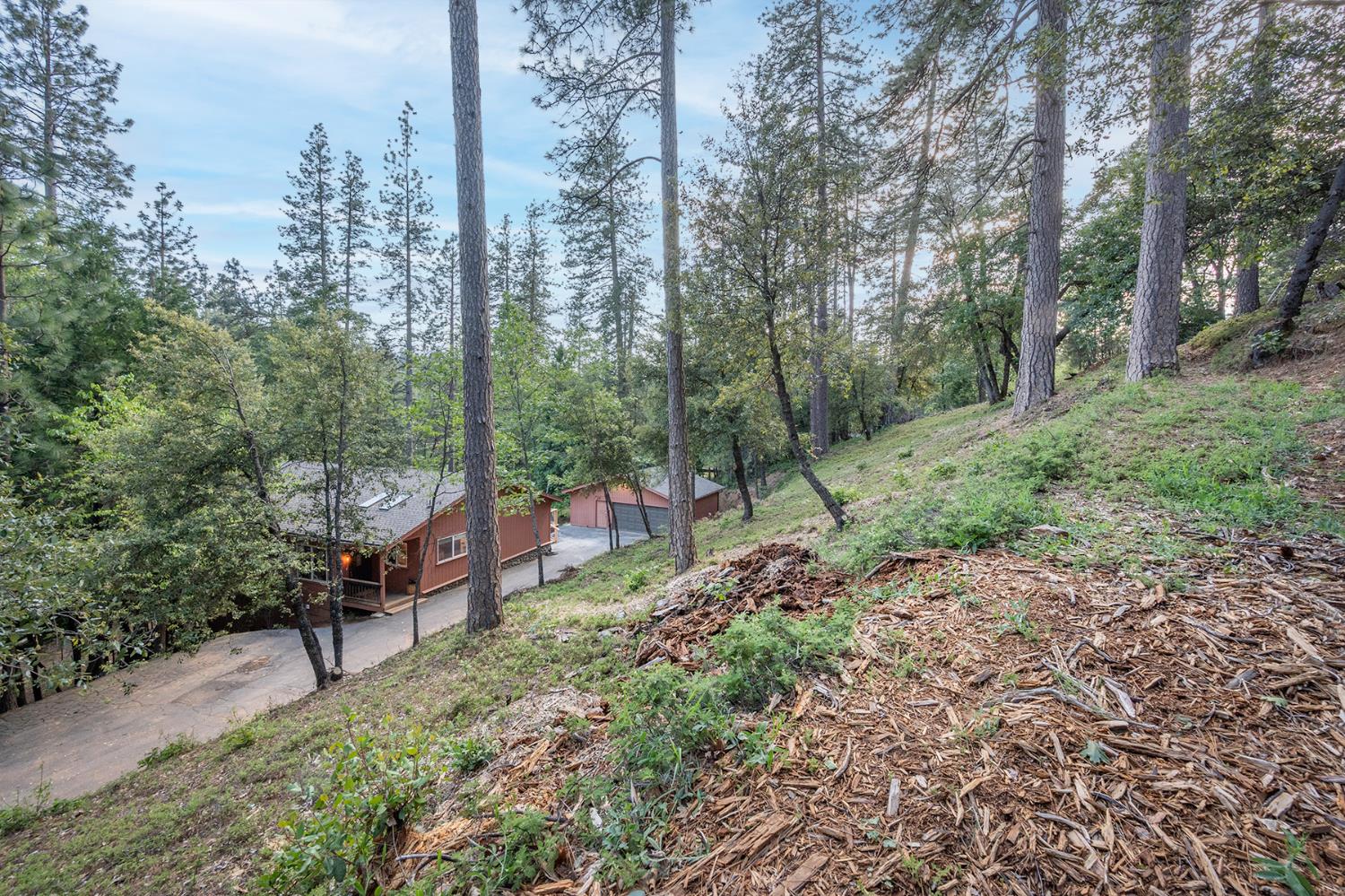 3061 Highway 4 Murphys, CA 95247 - Photo 58 of 83
