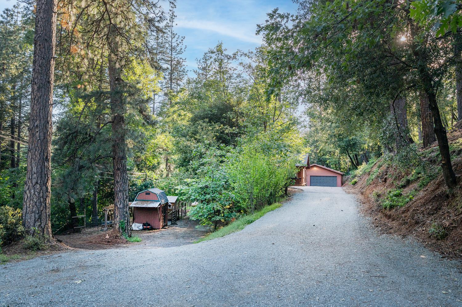 3061 Highway 4 Murphys, CA 95247 - Photo 61 of 83