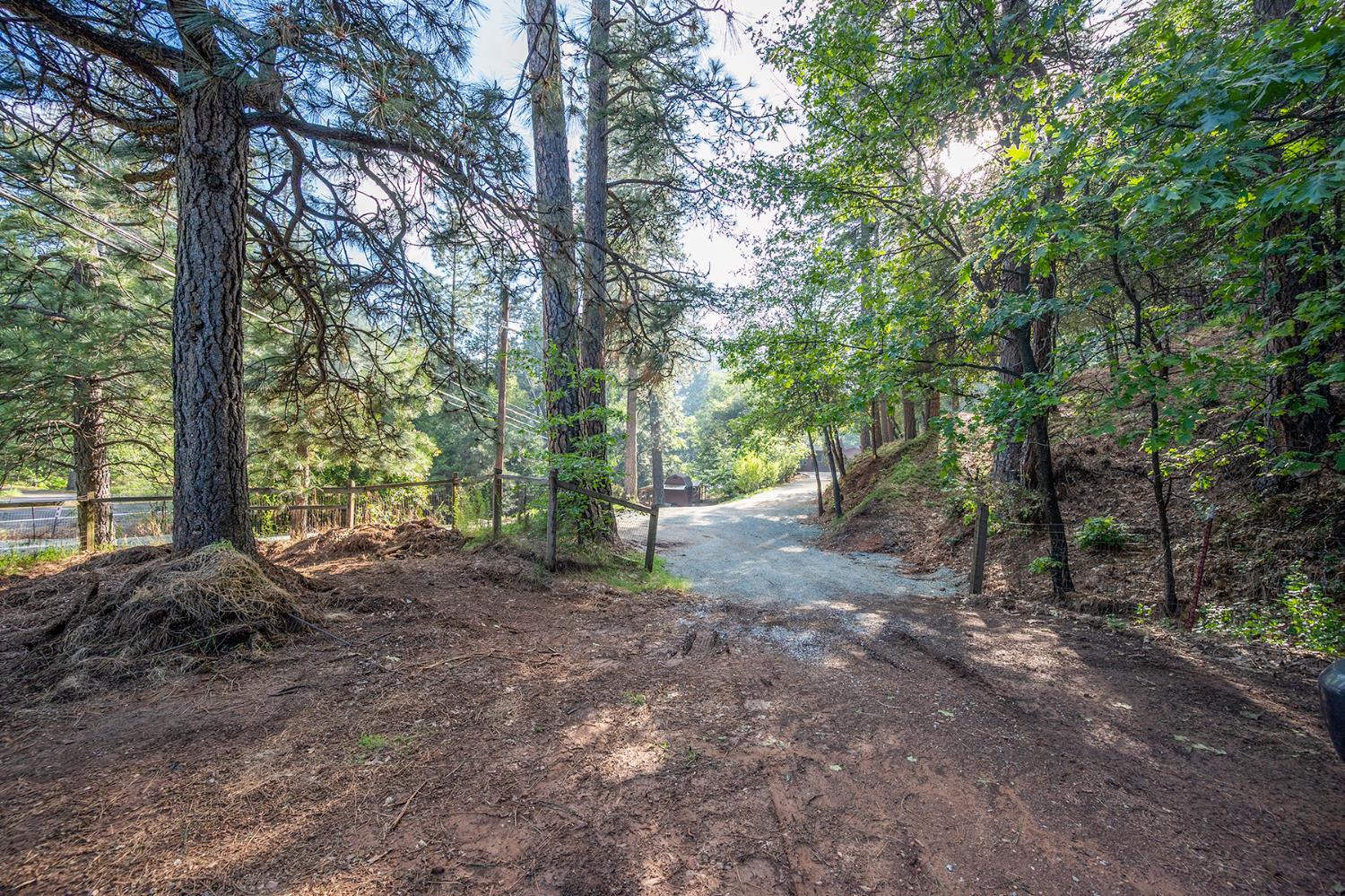 3061 Highway 4 Murphys, CA 95247 - Photo 63 of 83