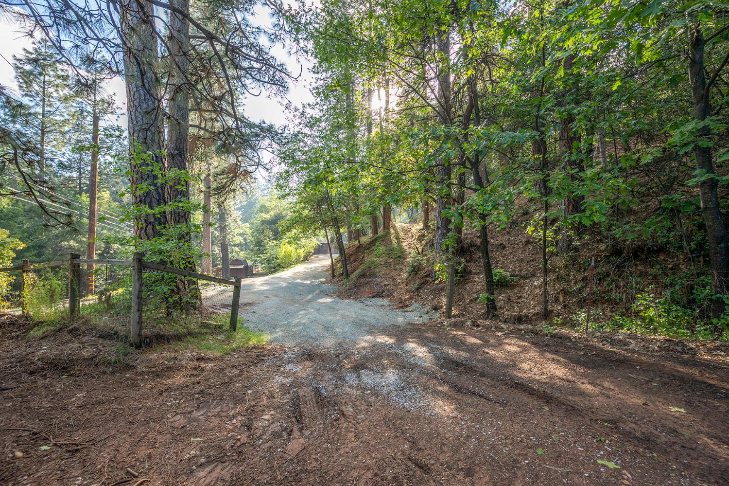 3061 Highway 4 Murphys, CA 95247 - Photo 64 of 83