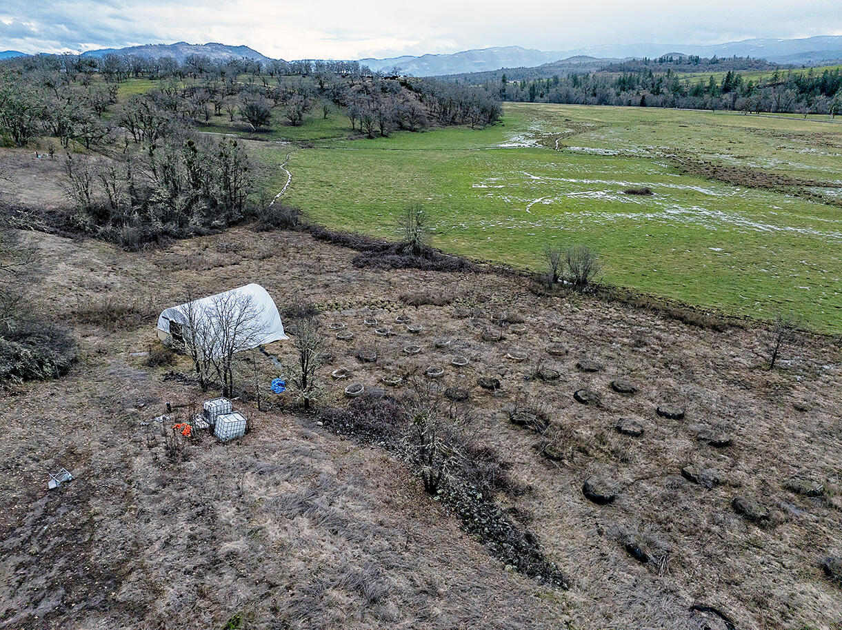 13546 Highway 140 Eagle Point, OR 97524 - Photo 6 of 24 a fire hydrant in the middle of a field