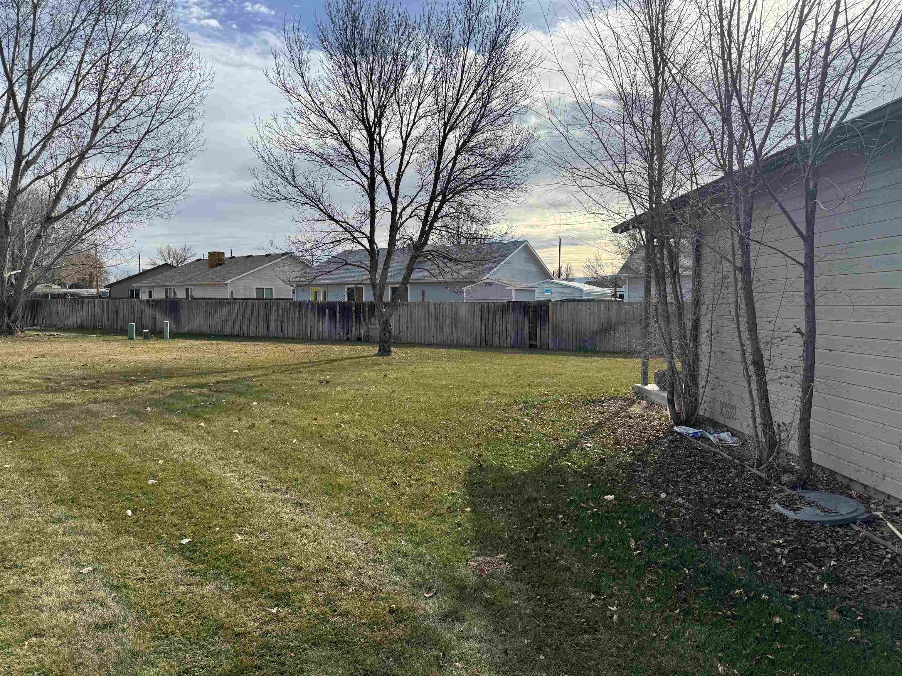 516 Vermont Lane Fruita, CO 81521 - Photo 11 of 13 a view of a yard with a house and large trees
