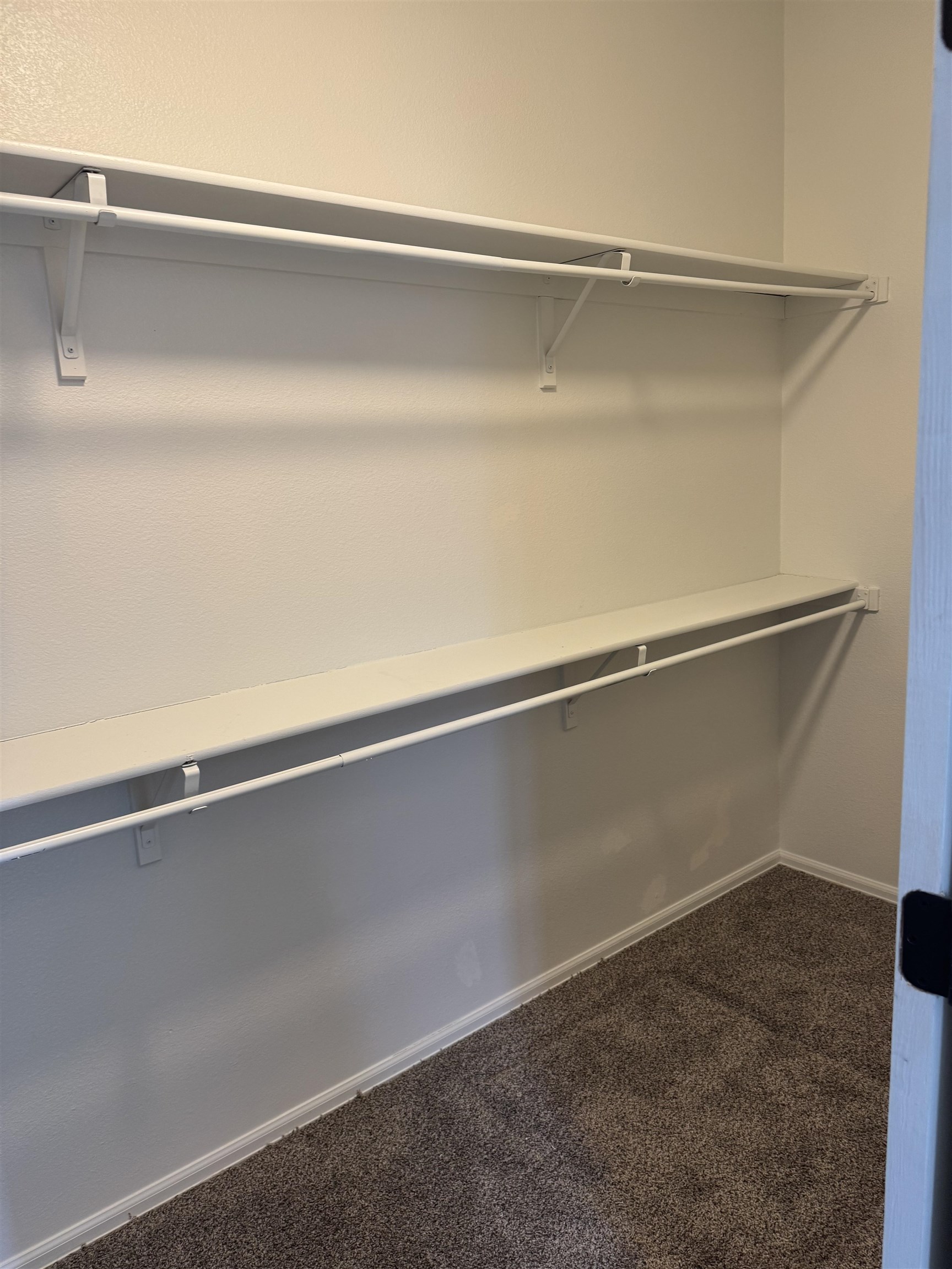 516 Vermont Lane Fruita, CO 81521 - Photo 9 of 13 a close view of closet