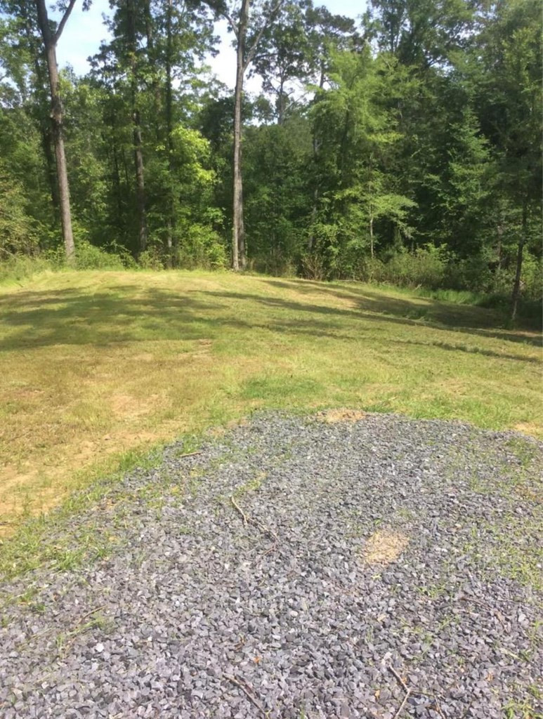 116 Robins Lake Road Natchez, MS 39120 - Photo 3 of 4 Photo 3