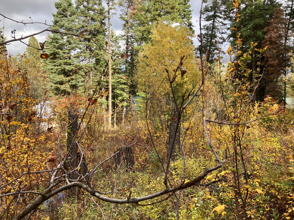 534 Brenda Drive, Unit 84 Cascade, ID 83611 - Photo 2 of 7 Fall Colors