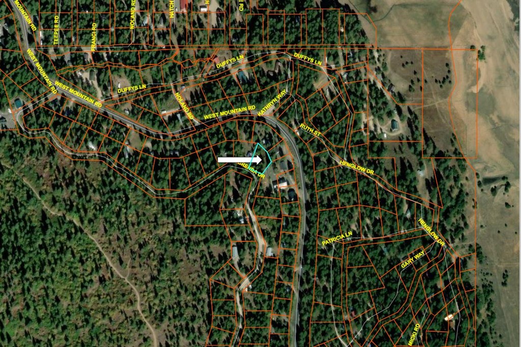 534 Brenda Drive, Unit 84 Cascade, ID 83611 - Photo 6 of 7 County Map