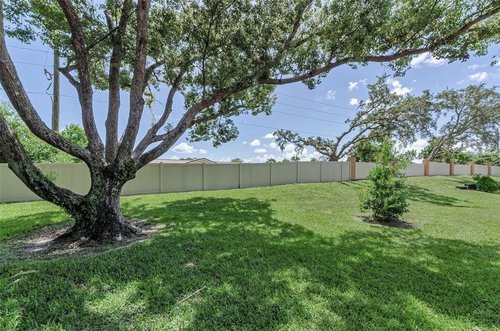 11516 Versailles Lane Port Richey, FL 34668 - Photo 33 of 41 a view of a tree in a yard with potted plants and large trees