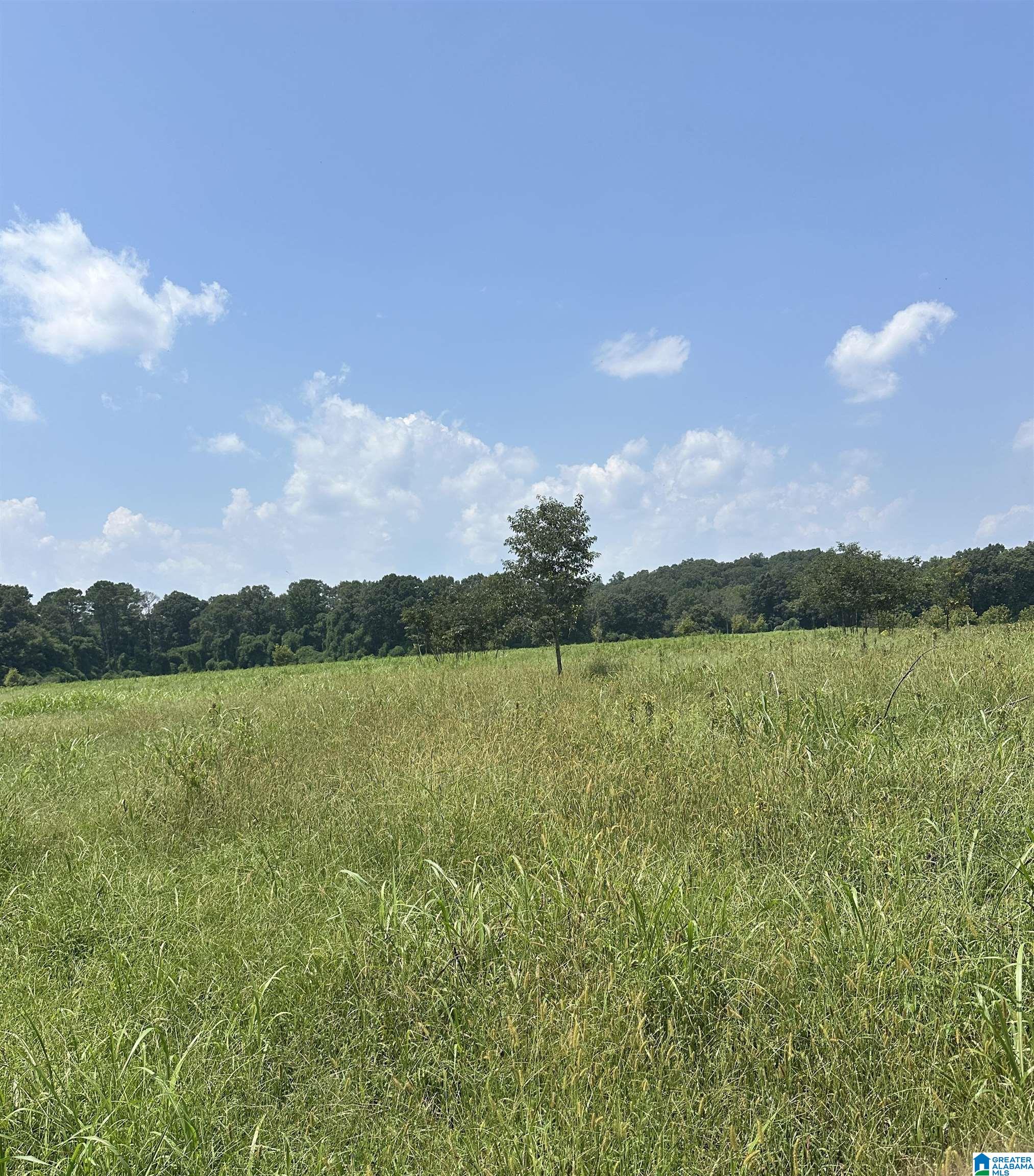9500 Cato Road, Unit 1 Warrior, AL 35180 - Photo 3 of 6