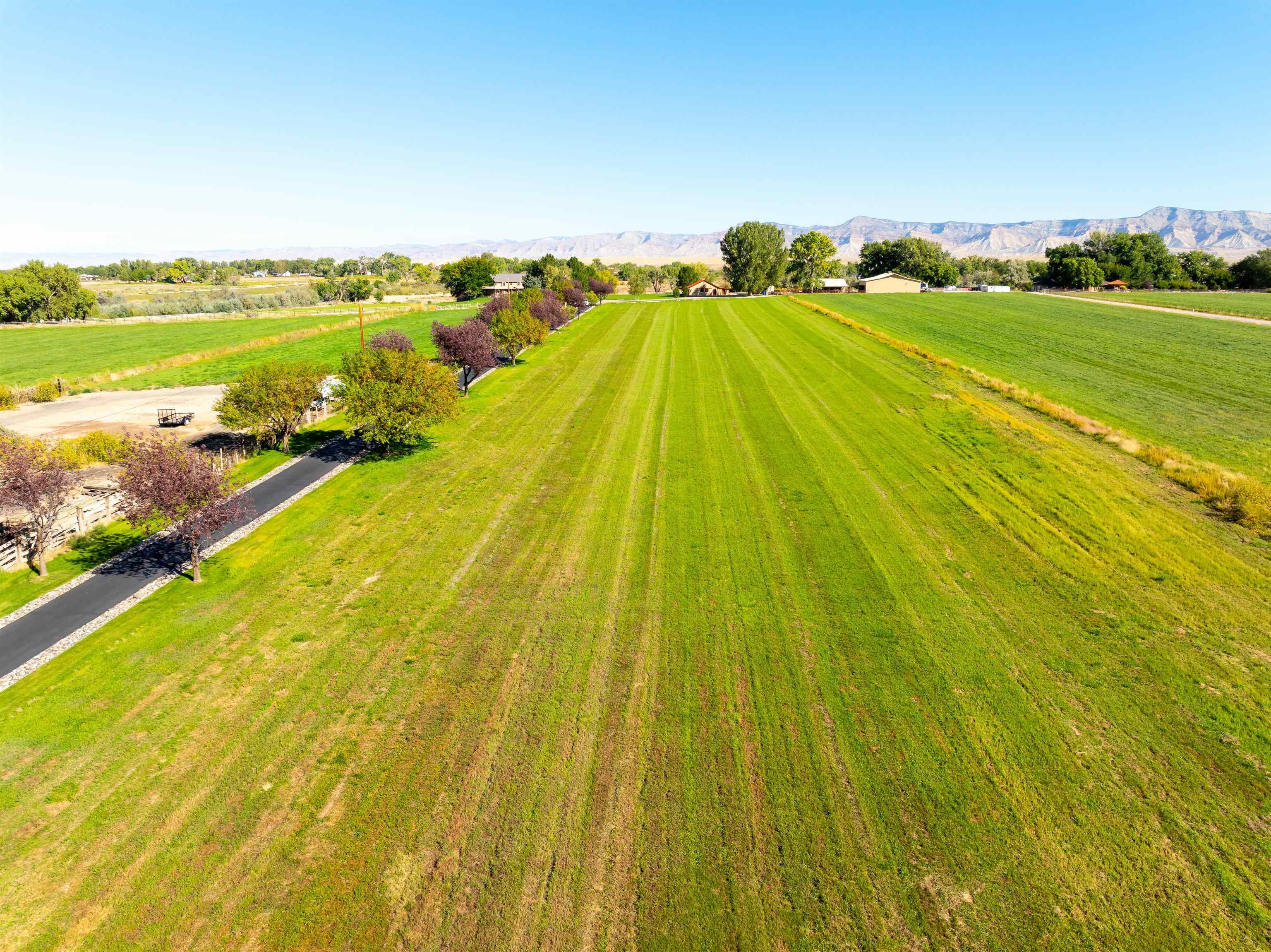 2536 I Road Grand Junction, CO 81505 - Photo 10 of 41