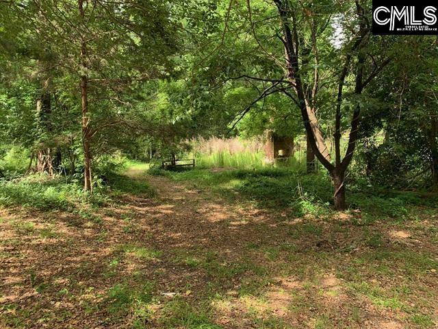 436 Peach Festival Road Gilbert, SC 29054 - Photo 2 of 7 a backyard of a house with lots of green space