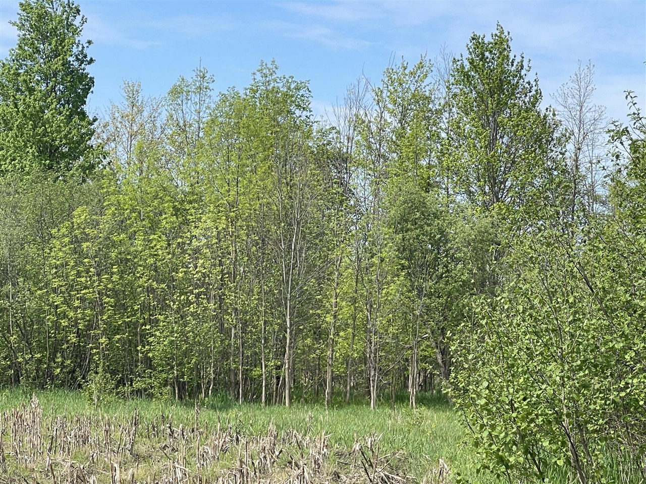 4514 22 Mile Road Northeast, Unit PARCEL 1 Sand Lake, MI 49343 - Photo 13 of 17