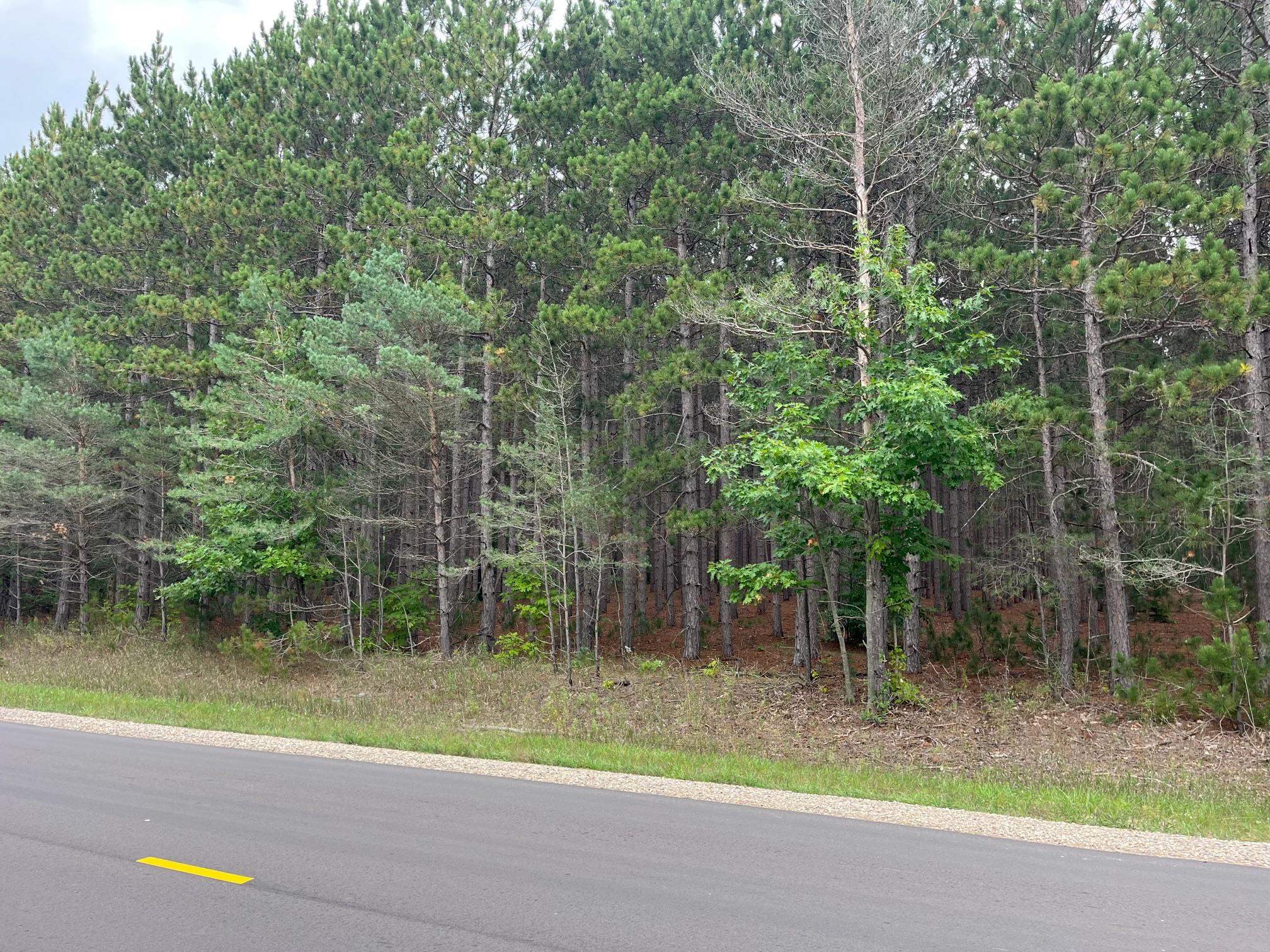 0 Copemish Road Thompsonville, MI 49683 - Photo 5 of 8 Gallery Image 5