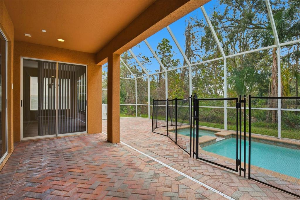 3454 Loggerhead Way Wesley Chapel, FL 33544 - Photo 54 of 58