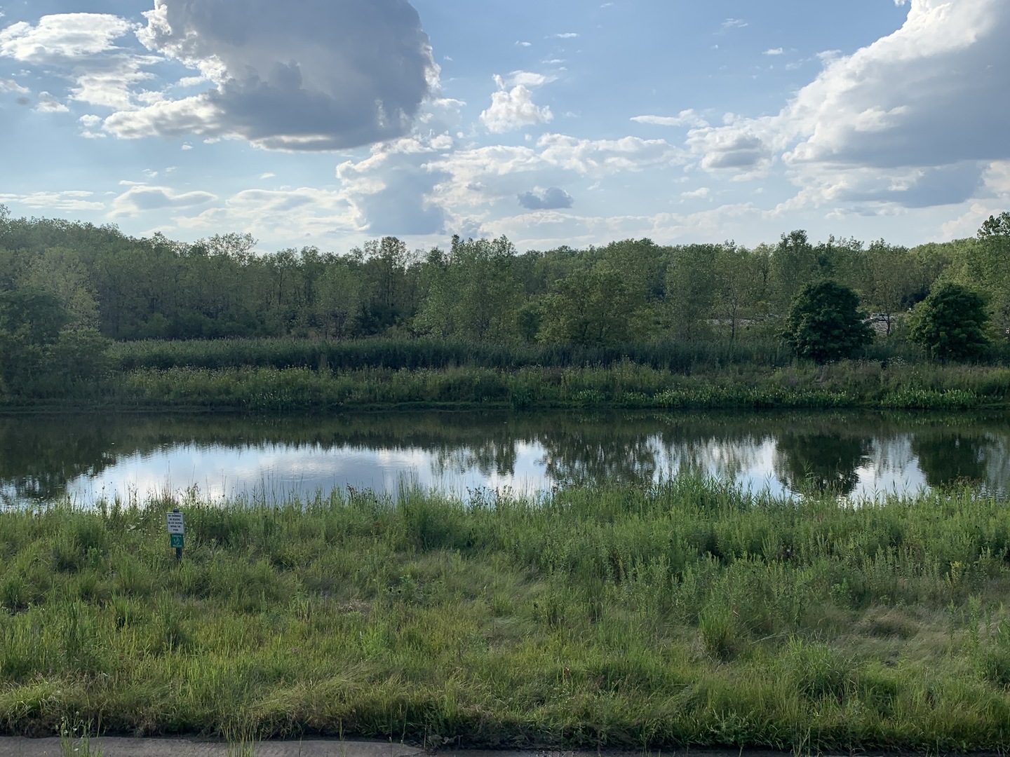 1137 Amber Drive Cary, IL 60013 - Photo 2 of 4