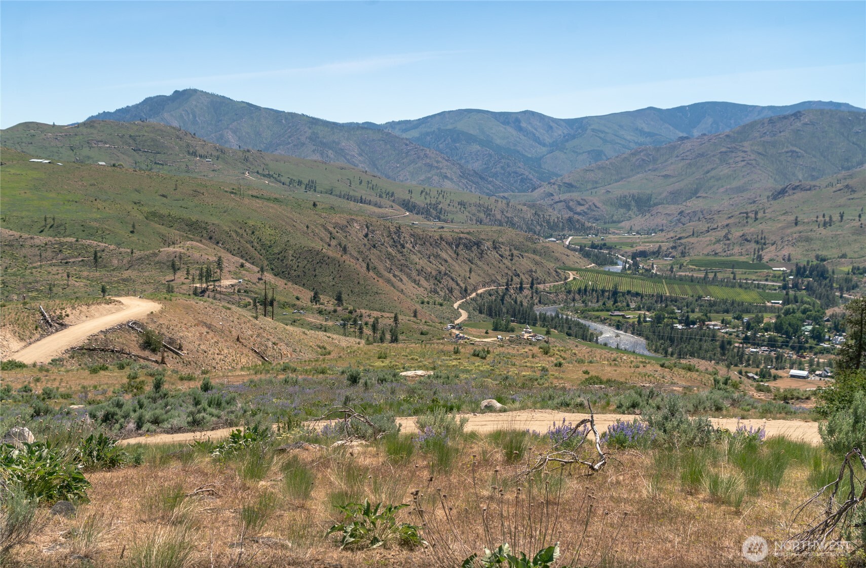 2 Highland Vista Methow, WA 98834 - Photo 5 of 8 a view of a forest with mountains in the background
