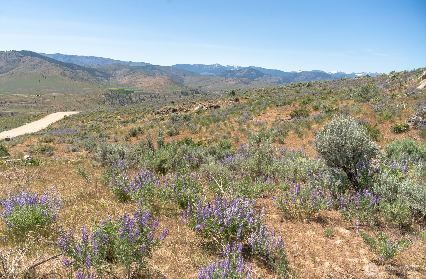 2 Highland Vista Methow, WA 98834 - Photo 6 of 8 a view of a forest with mountains in the background