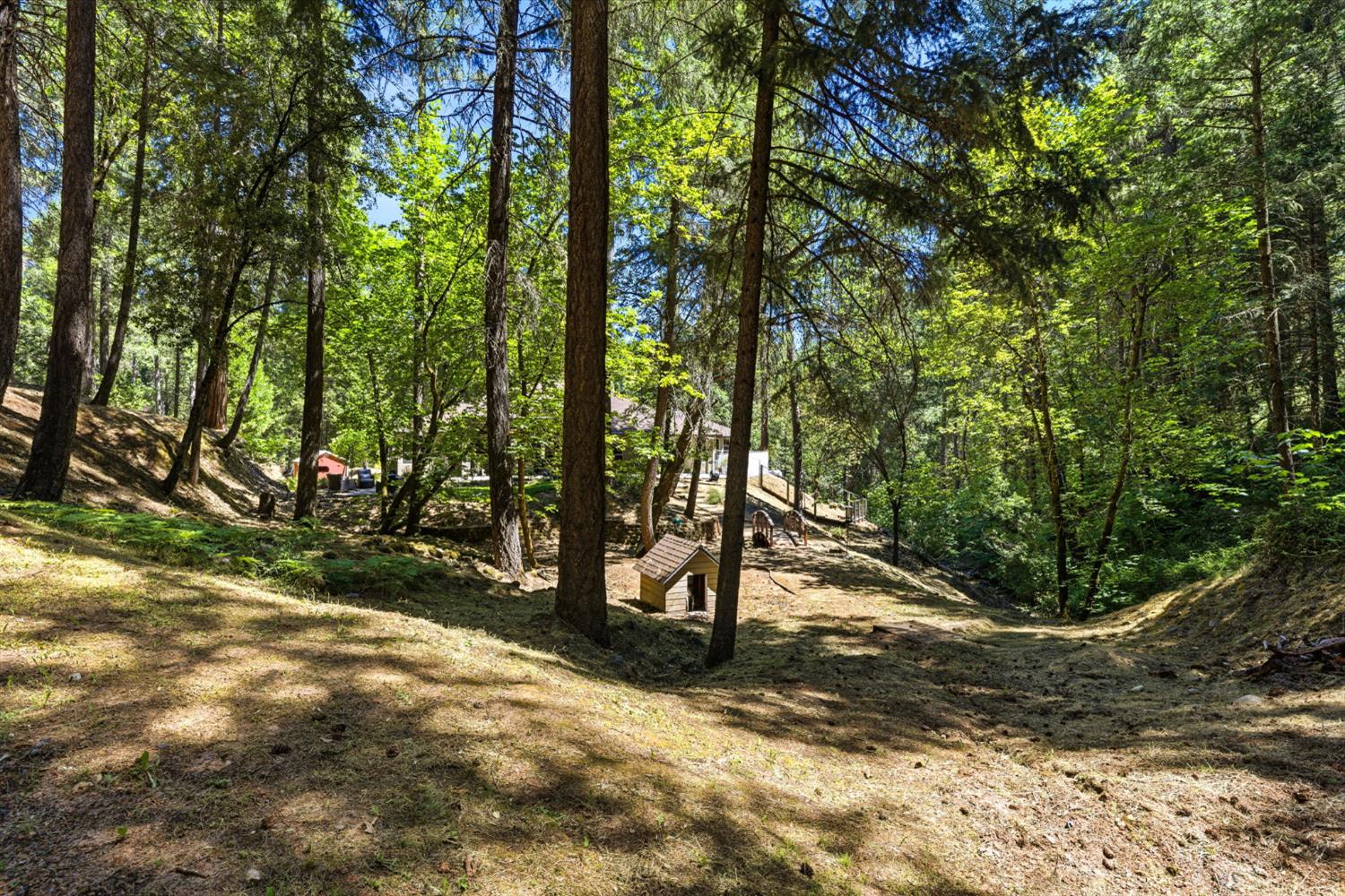 4550 Newtown Road Placerville, CA 95667 - Photo 38 of 43