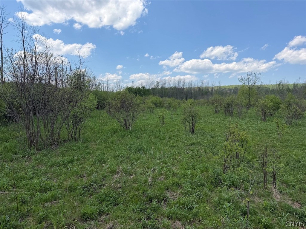 Buttermilk Road South Dayton, NY 14138 - Photo 9 of 26