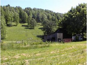1142 Old Stage Road Gray, TN 37615 - Photo 3 of 9 Photo 3