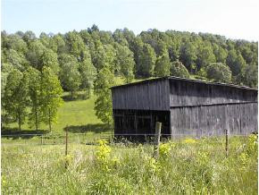 1142 Old Stage Road Gray, TN 37615 - Photo 4 of 9 Photo 4