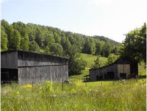 1142 Old Stage Road Gray, TN 37615 - Photo 5 of 9 Photo 5