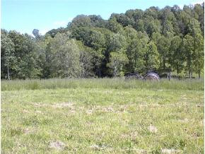 1142 Old Stage Road Gray, TN 37615 - Photo 6 of 9 Photo 6