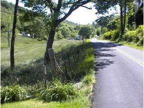 1142 Old Stage Road Gray, TN 37615 - Photo 7 of 9 Photo 7