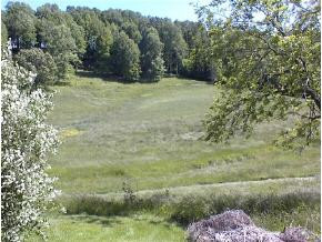 1142 Old Stage Road Gray, TN 37615 - Photo 8 of 9 Photo 8