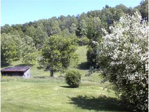 1142 Old Stage Road Gray, TN 37615 - Photo 9 of 9 Photo 9