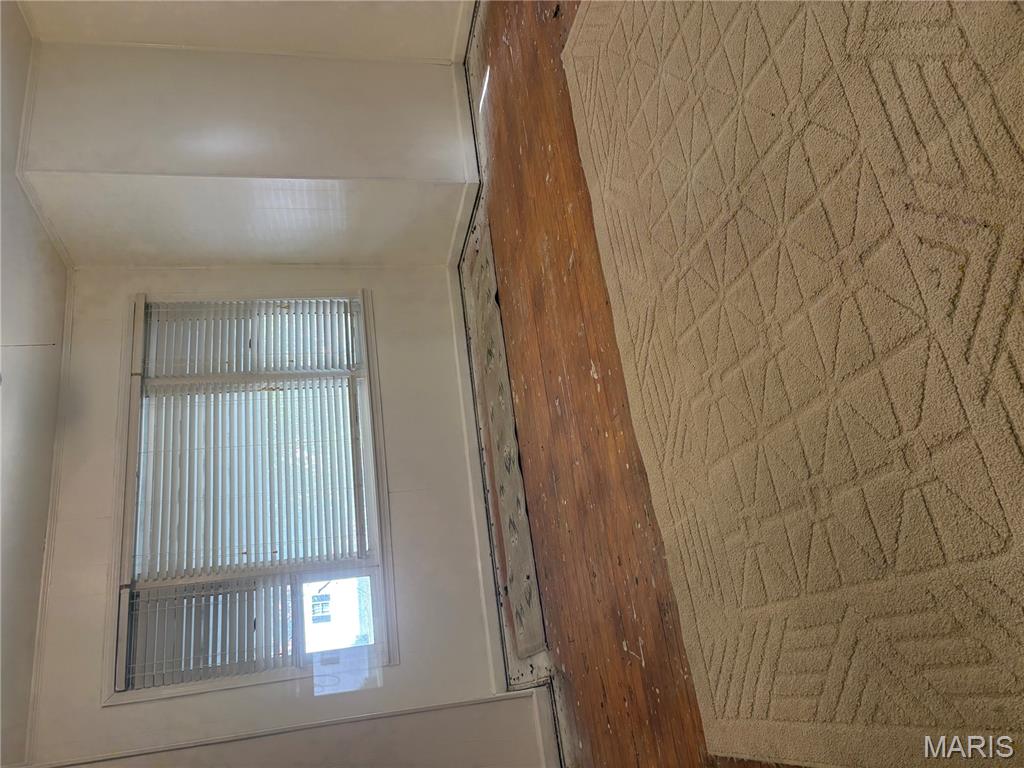 317 West Main Street Steele, MO 63877 - Photo 5 of 17