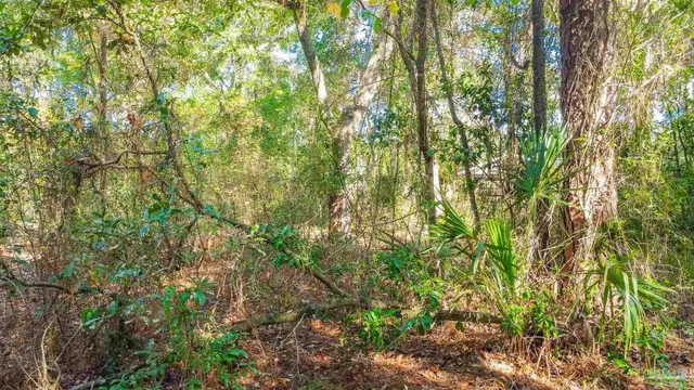 a view of a chairs and tables in the patio