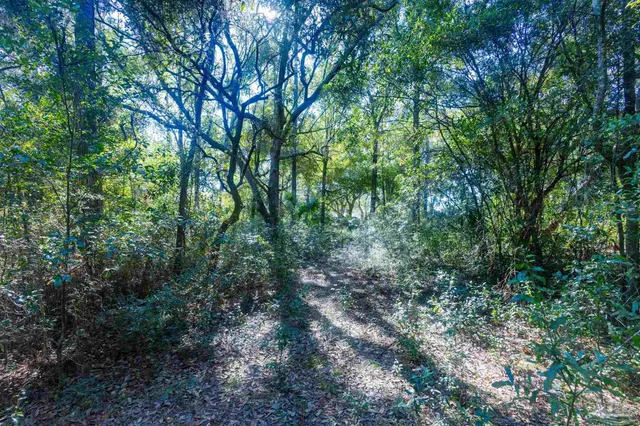 a view of outdoor space and trees