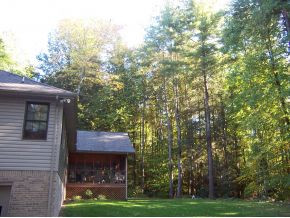 200 Laurel Haven Road Unicoi, TN 37692 - Photo 19 of 23 Photo 19