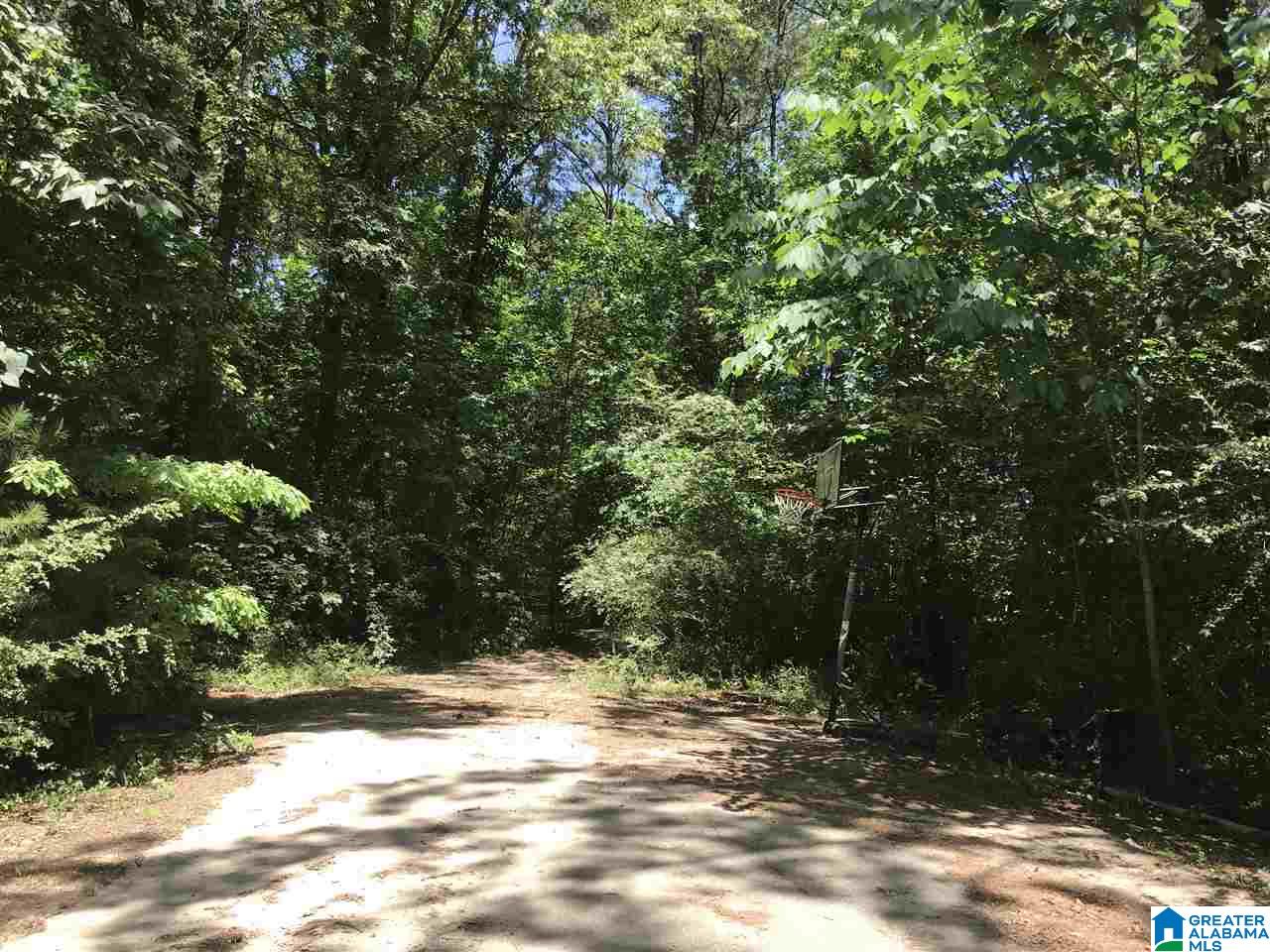 19th Street Calera, AL 35040 - Photo 1 of 2