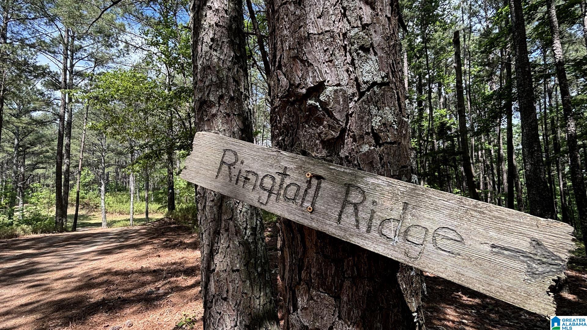5145 Pine Mountain Road Remlap, AL 35133 - Photo 69 of 100