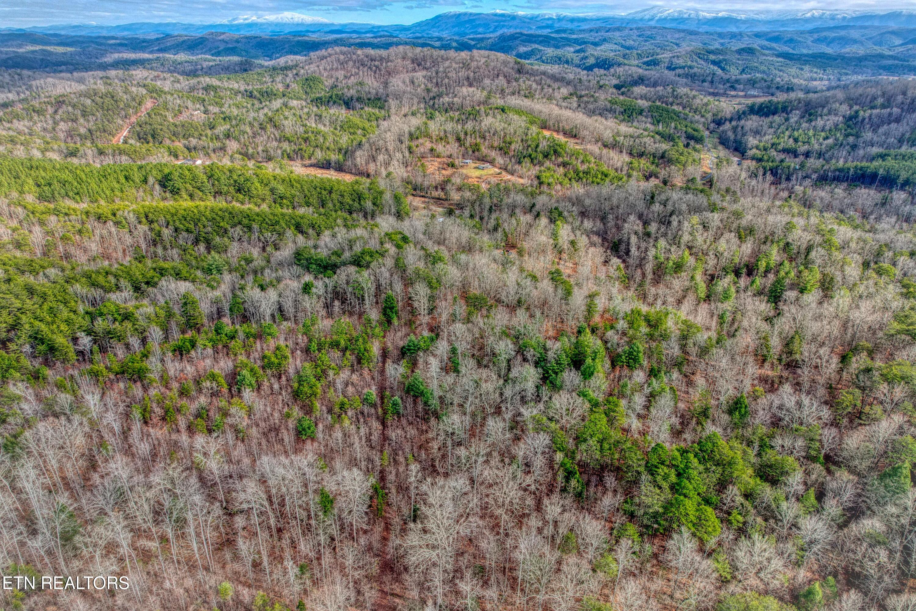 Boiling Springs Road Vonore, TN 37885 - Photo 15 of 24 16_Boiling Springs Rd Batch_16