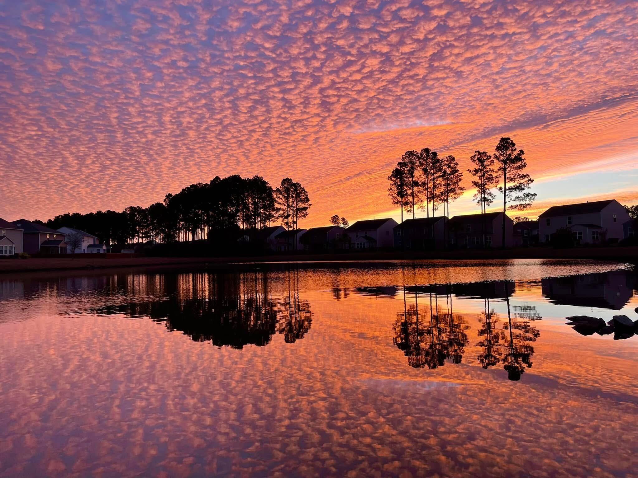 222 Decatur Drive Summerville, SC 29486 - Photo 2 of 30 Jason Leviner - 2