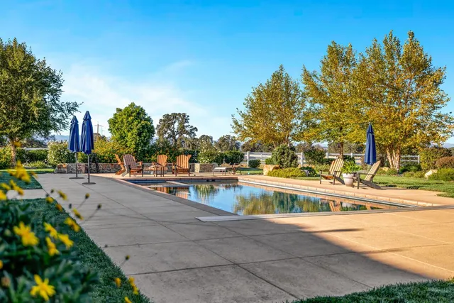 a group of potted plants in front of a building