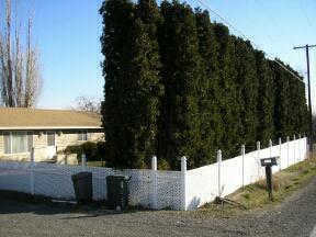 2161 St Hilaire Road Moxee, WA 98936 - Photo 3 of 4 a view of a terrace with sky view