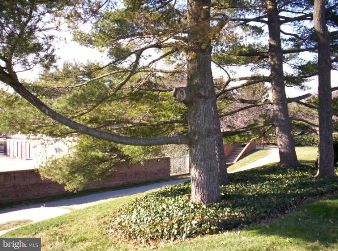 10026 Stedwick Road, Unit 101 Gaithersburg, MD 20886 - Photo 28 of 30 Paths to Pool and Heron's Cove Clubhouse.