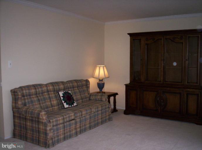 10026 Stedwick Road, Unit 101 Gaithersburg, MD 20886 - Photo 5 of 30 Living Room 1