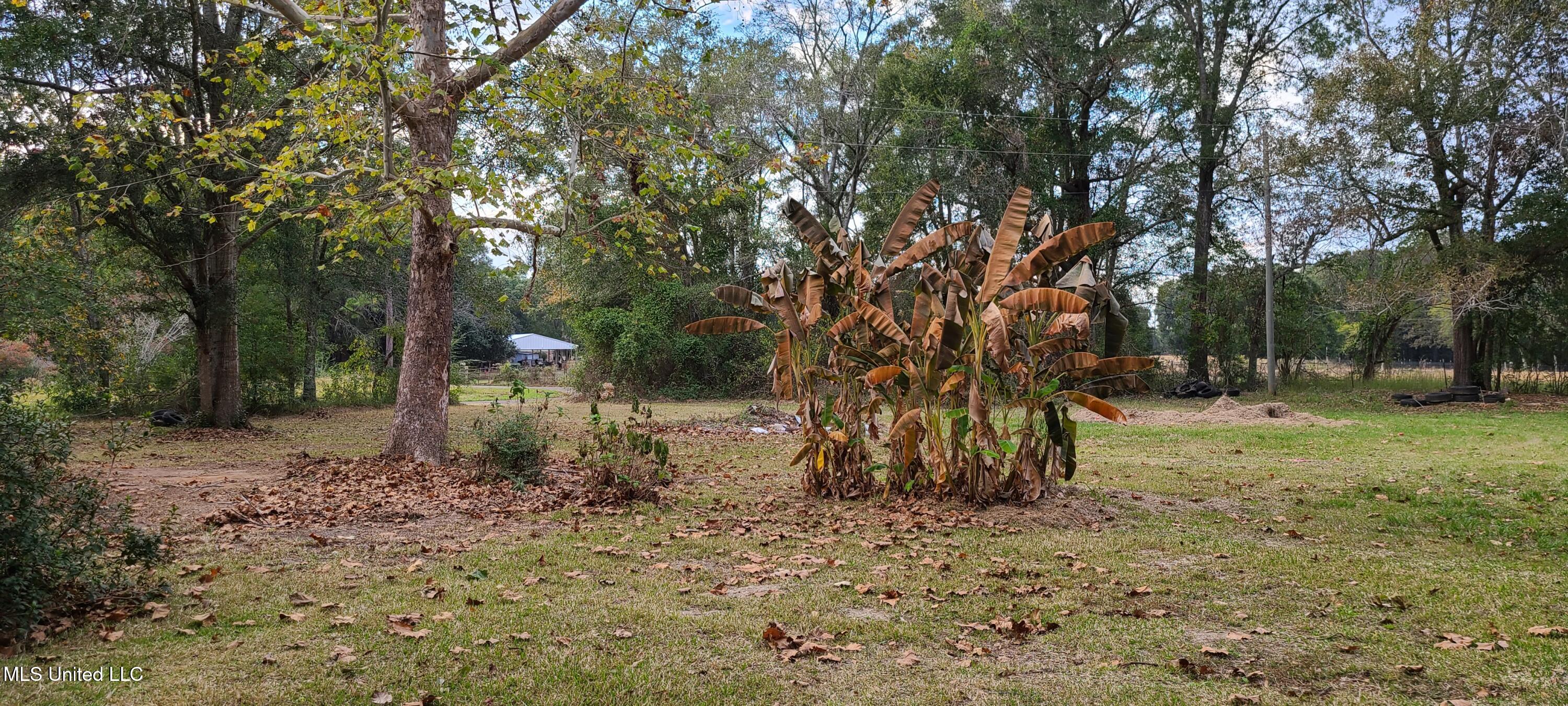 121 Rogers Smith Road Lucedale, MS 39452 - Photo 18 of 20 20251113_161343