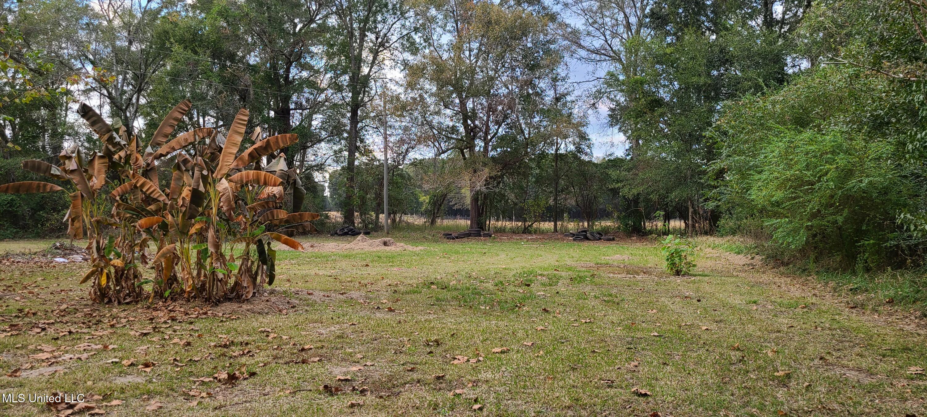 121 Rogers Smith Road Lucedale, MS 39452 - Photo 19 of 20 20251113_161339