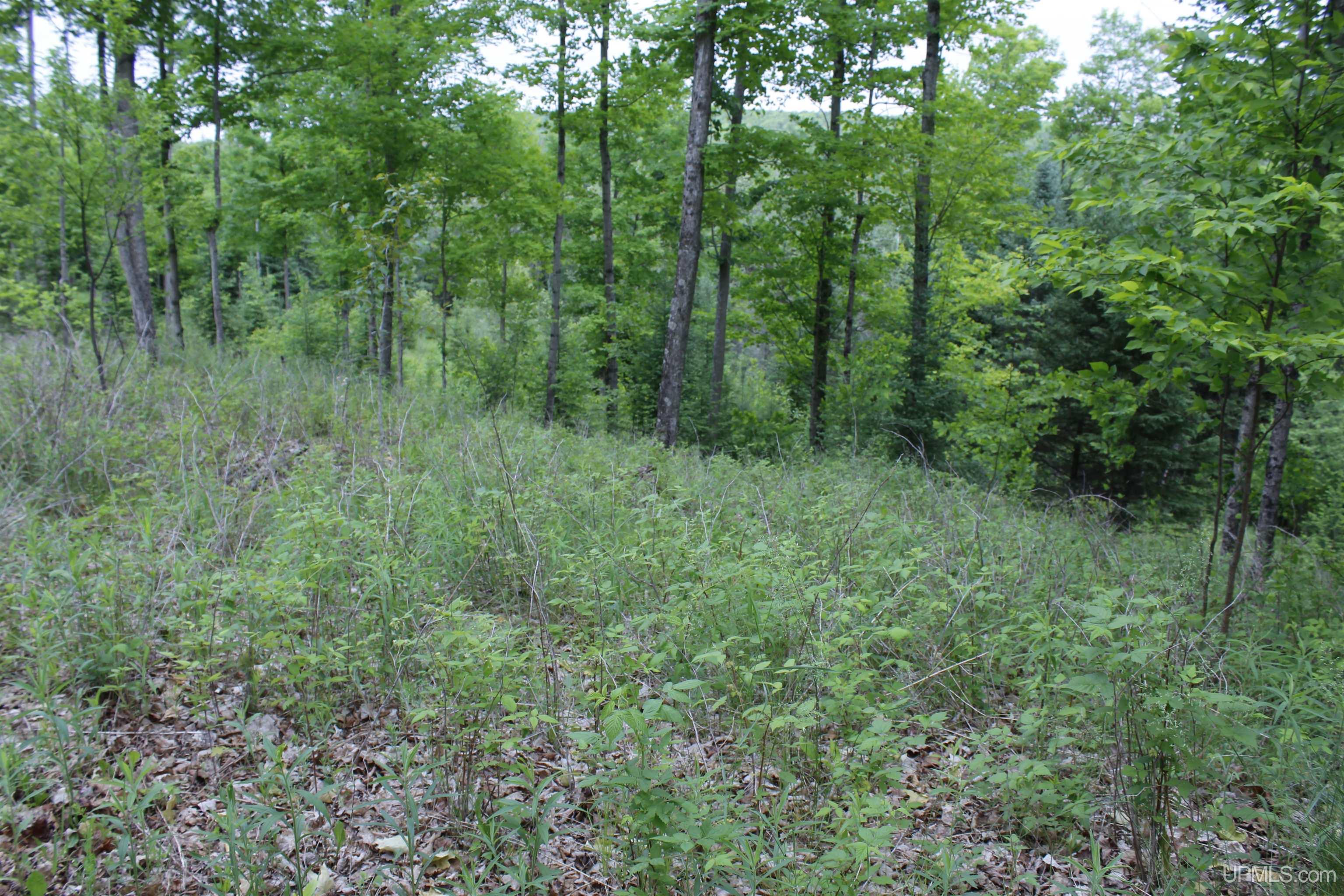 W2588 31 Lane Daggett, MI 49821 - Photo 35 of 58